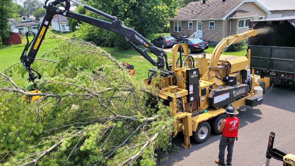 Images Whitledge Tree Service LLC