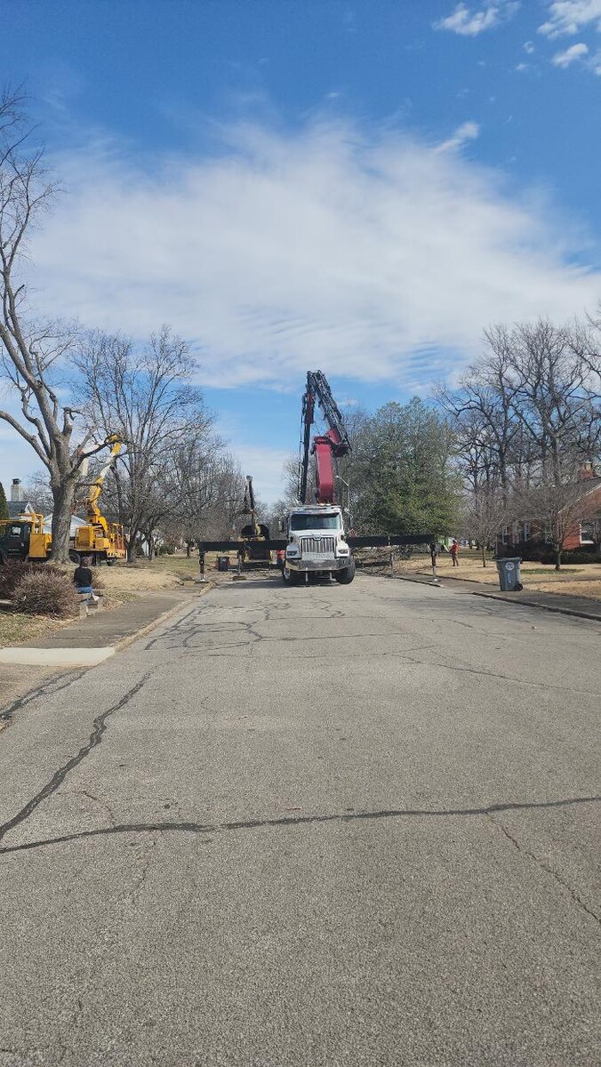 Images Whitledge Tree Service LLC