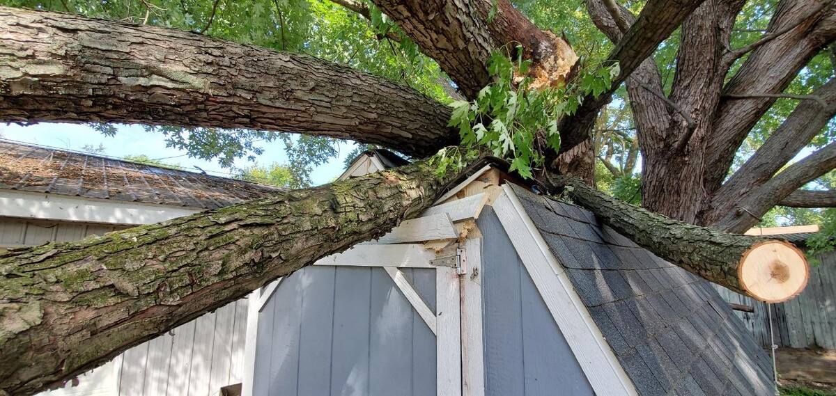 Images Whitledge Tree Service LLC