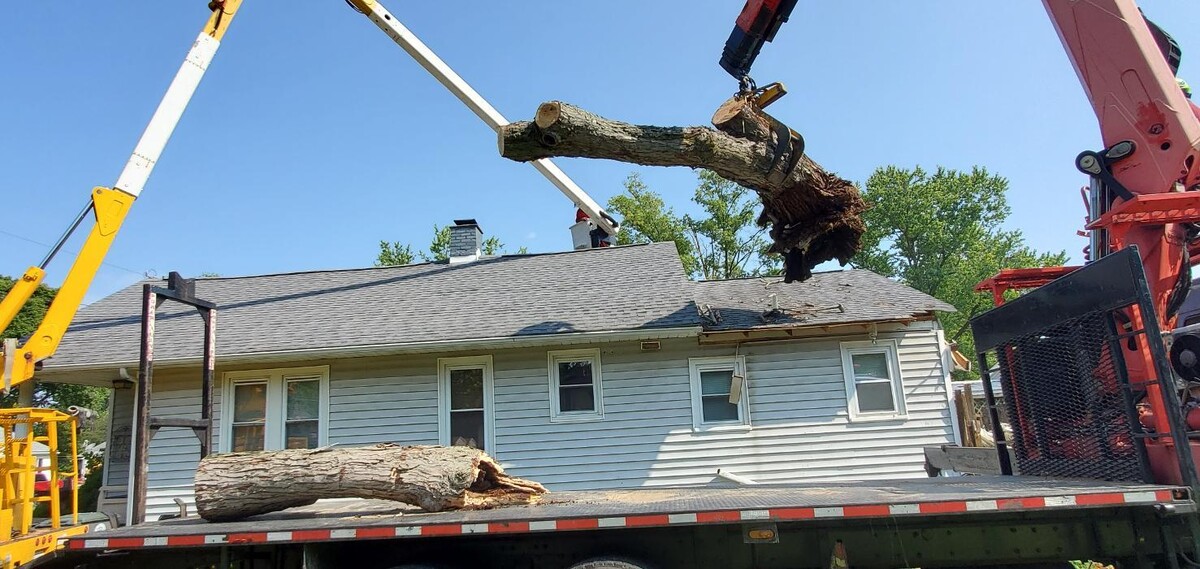 Images Whitledge Tree Service LLC