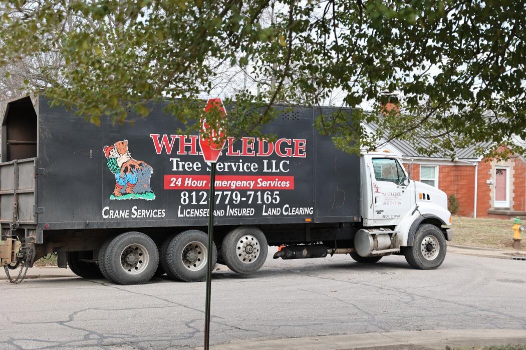 Images Whitledge Tree Service LLC