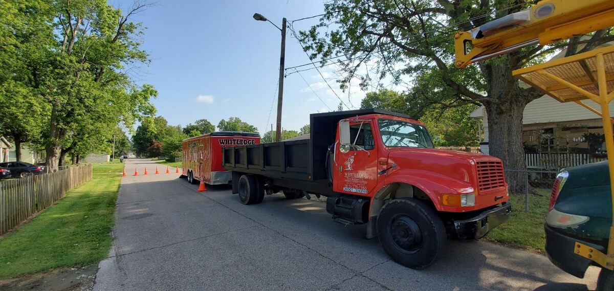 Images Whitledge Tree Service LLC