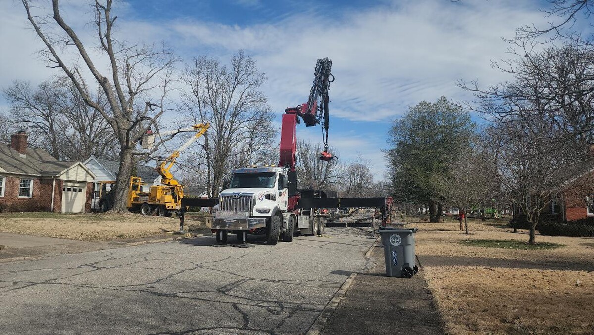 Images Whitledge Tree Service LLC