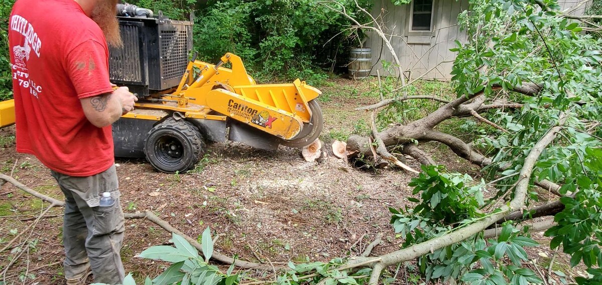 Images Whitledge Tree Service LLC