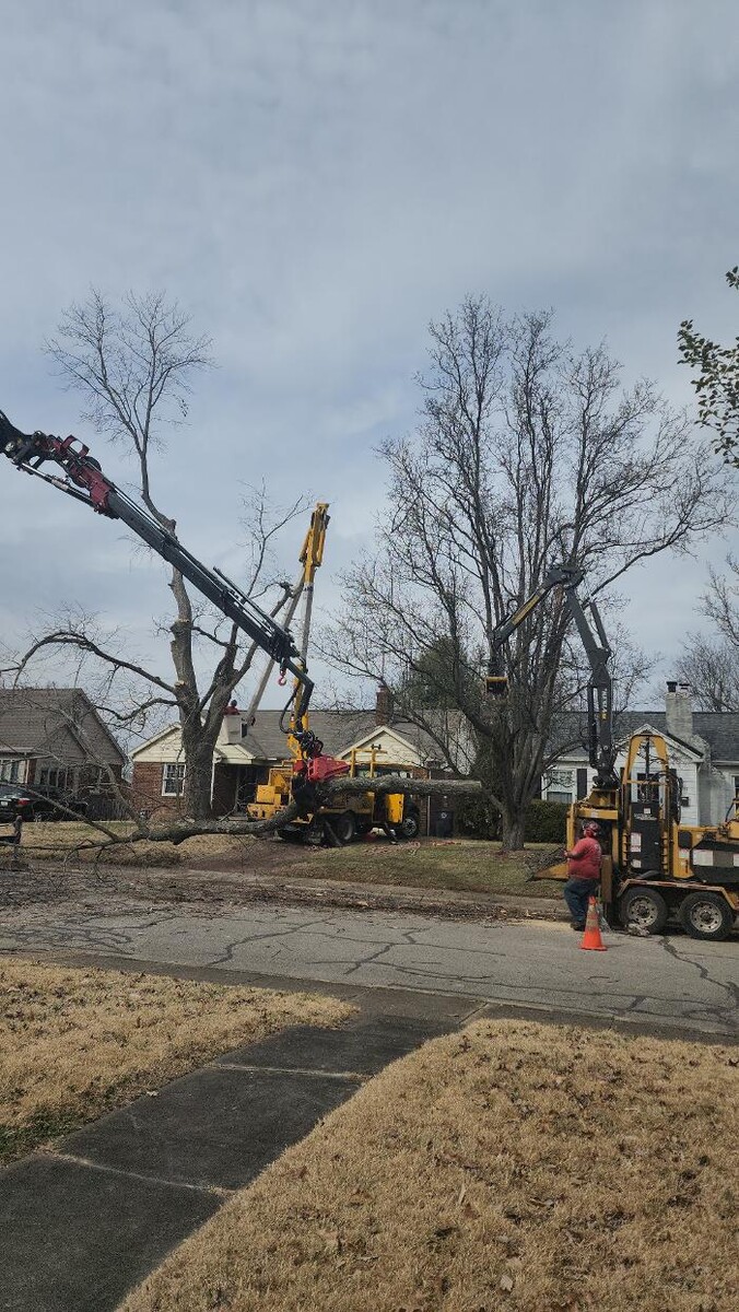 Images Whitledge Tree Service LLC