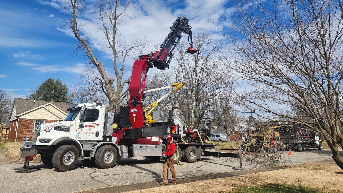 Images Whitledge Tree Service LLC