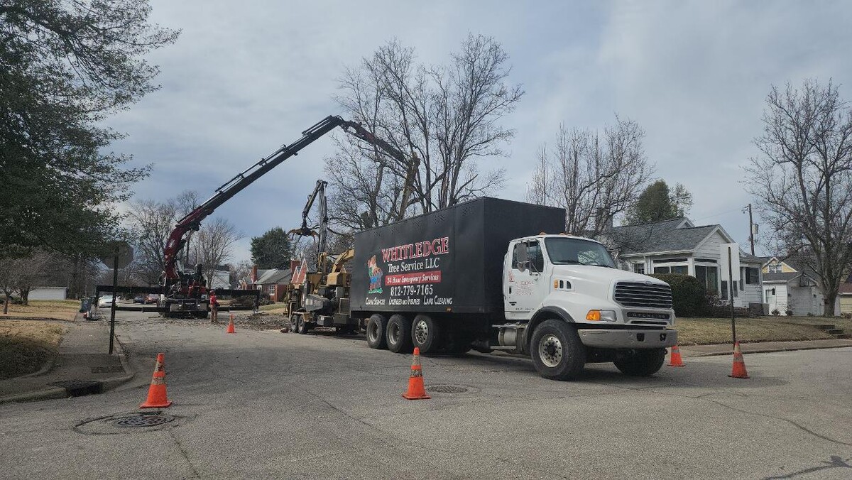 Images Whitledge Tree Service LLC