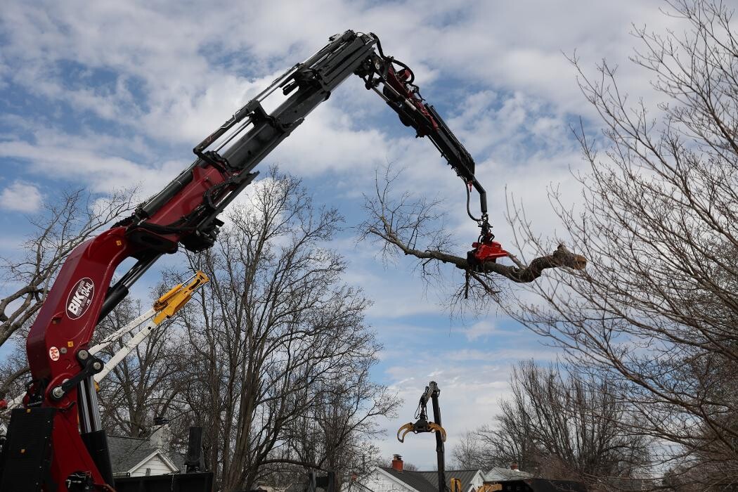 Images Whitledge Tree Service LLC