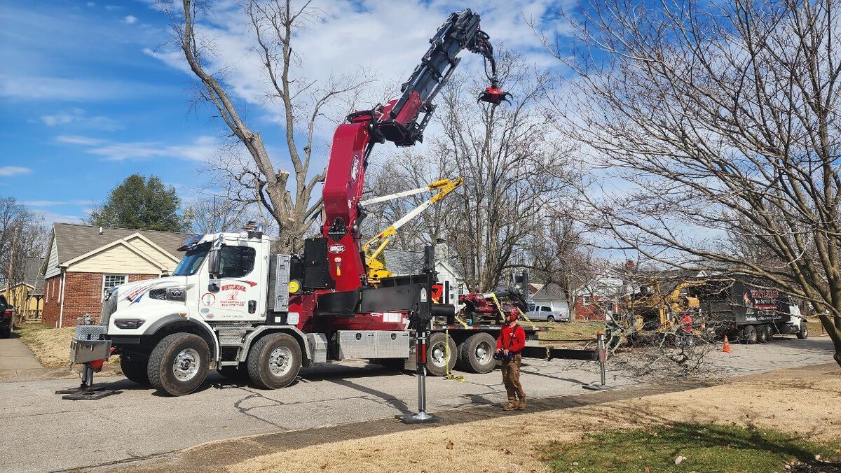 Images Whitledge Tree Service LLC