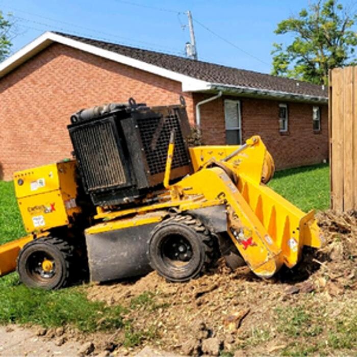 Images Whitledge Tree Service LLC