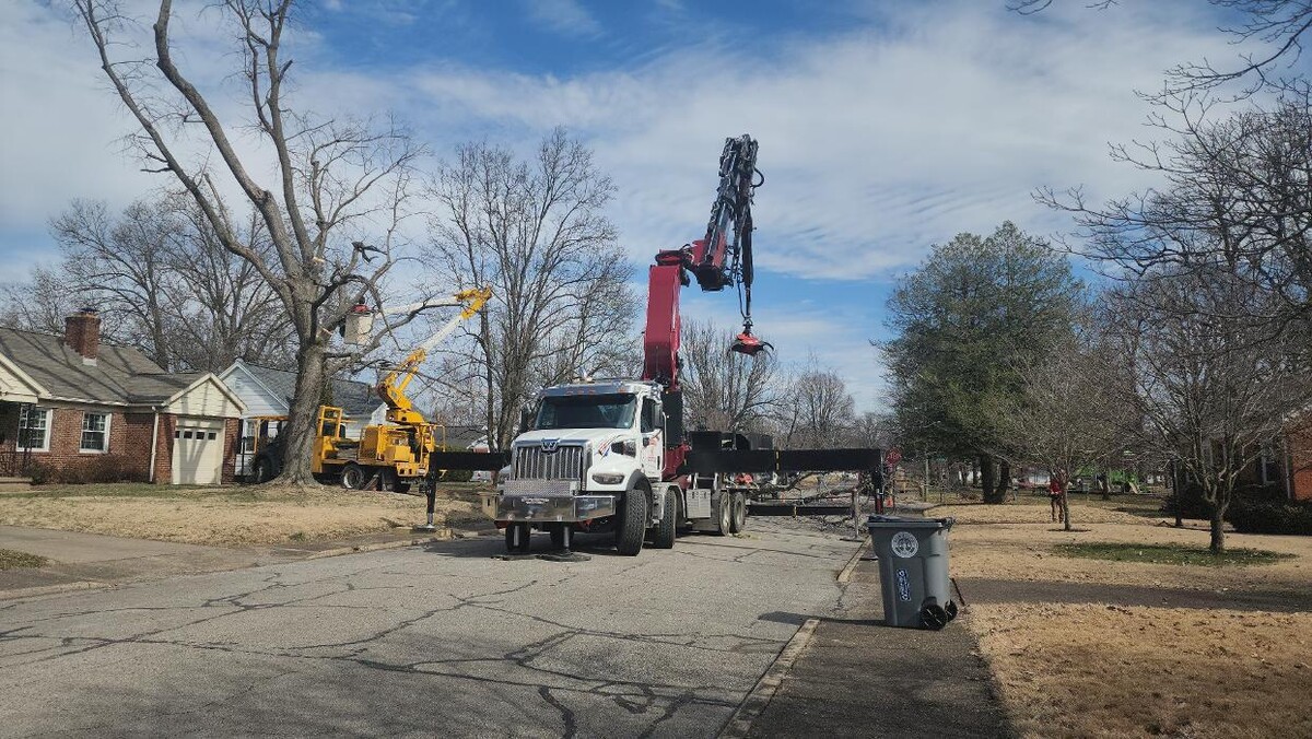 Images Whitledge Tree Service LLC