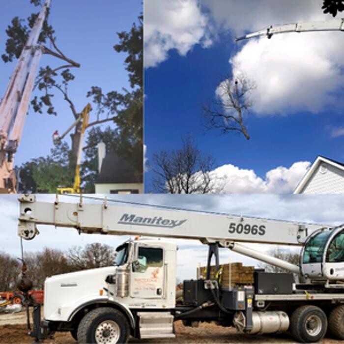 Images Whitledge Tree Service LLC