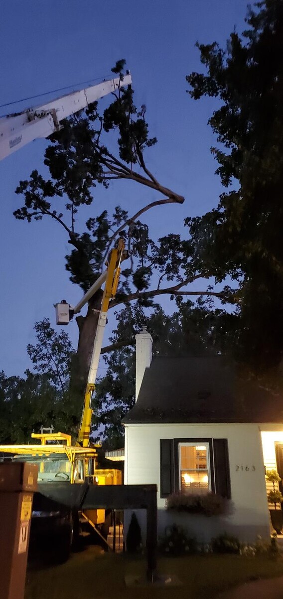 Images Whitledge Tree Service LLC