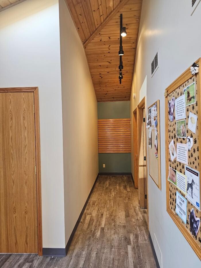 Images Brothers Colors Painting