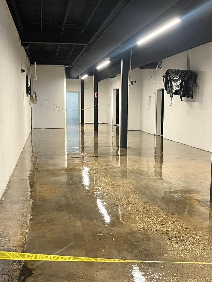 Images Brothers Colors Painting