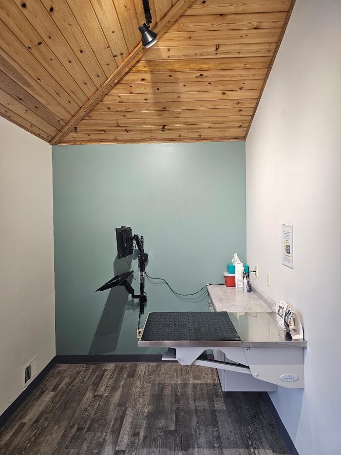 Images Brothers Colors Painting