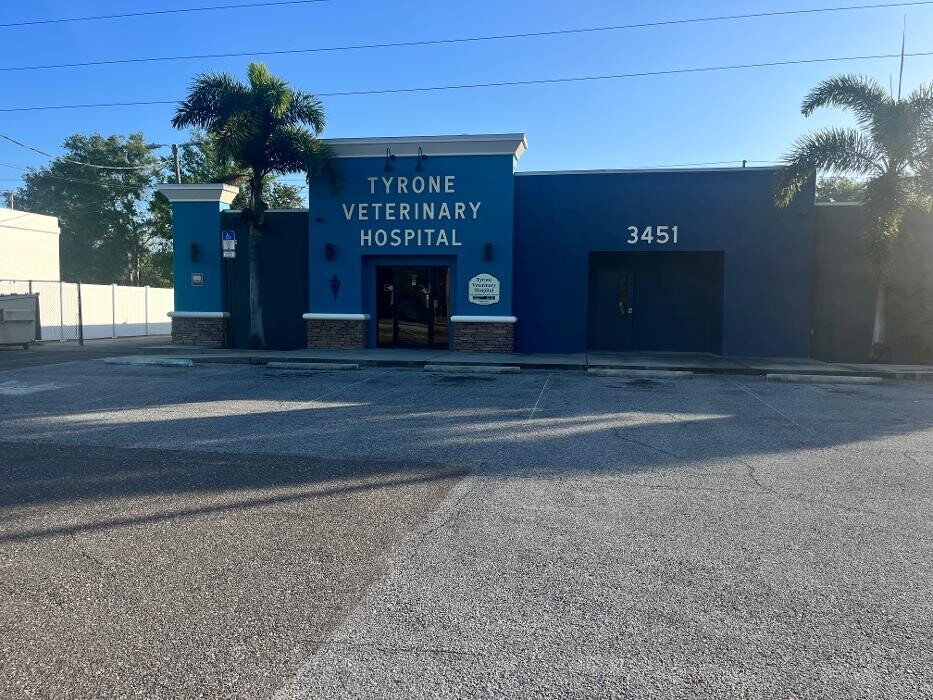 Images Brothers Colors Painting