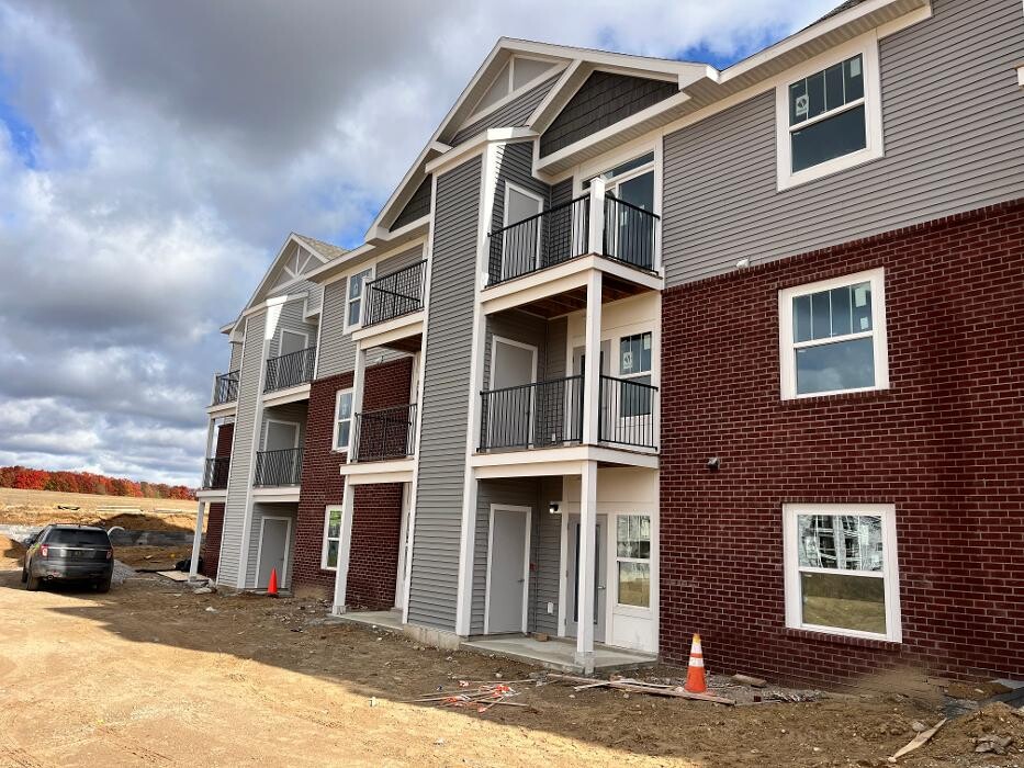 Images Brothers Colors Painting