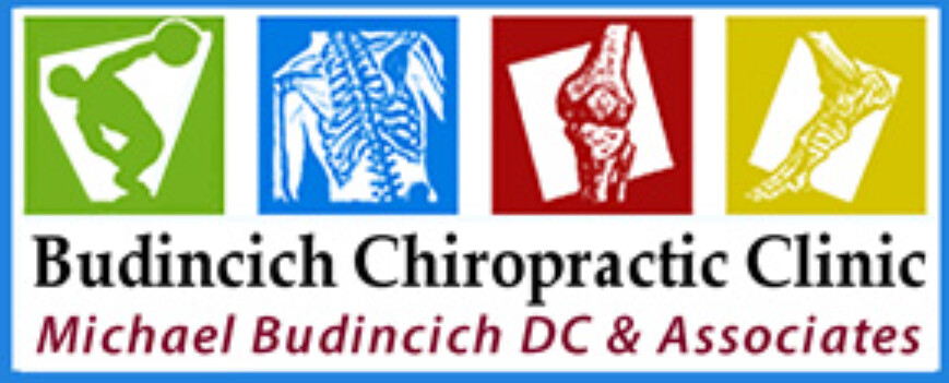 Budincich Chiropractic Clinic Inc Logo