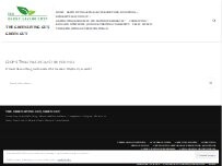 Website Screenshot ETS ENERGY STORE