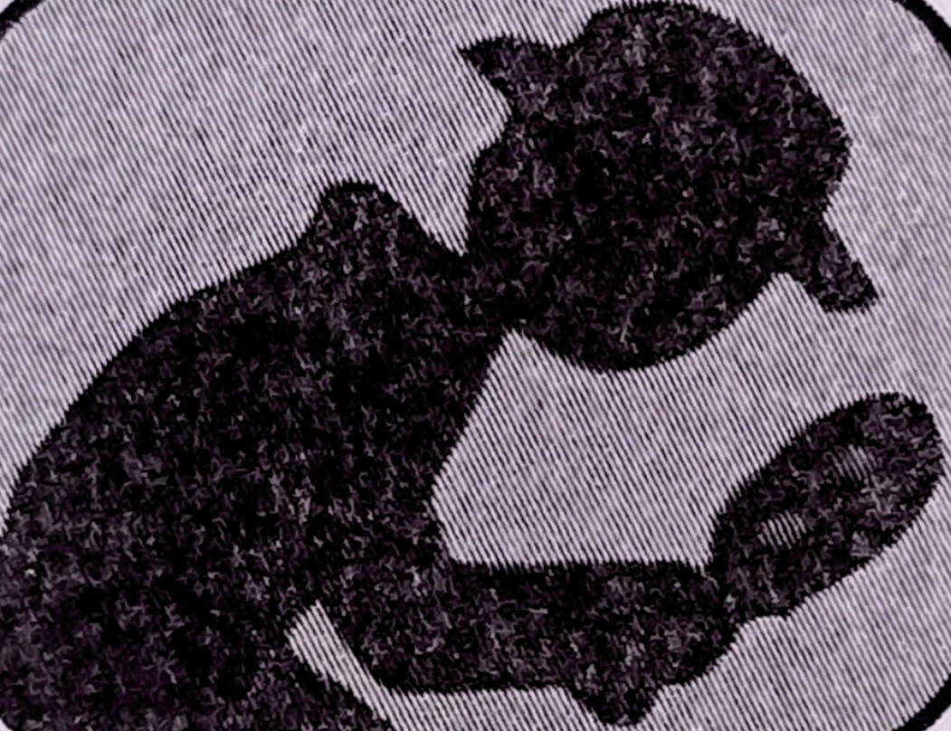BHD Home and Mold Inspections Logo