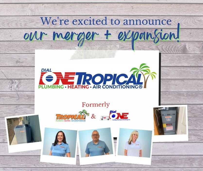 Images Dial One Tropical