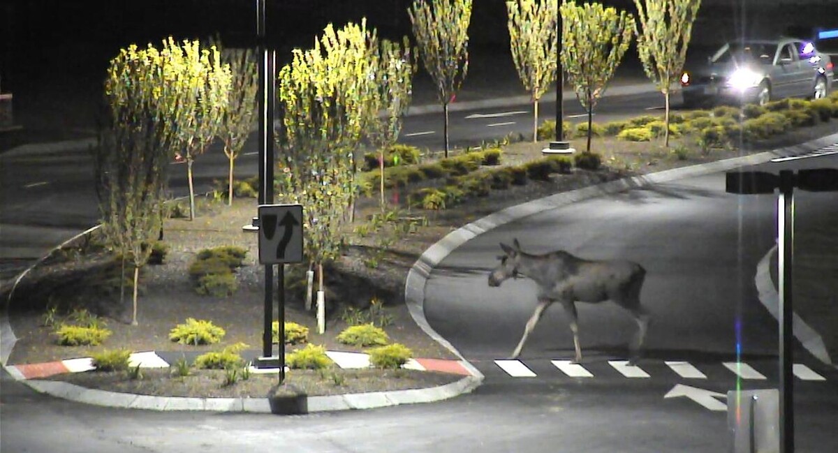 Images Oxford Casino Hotel