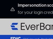 Website Screenshot EverBank