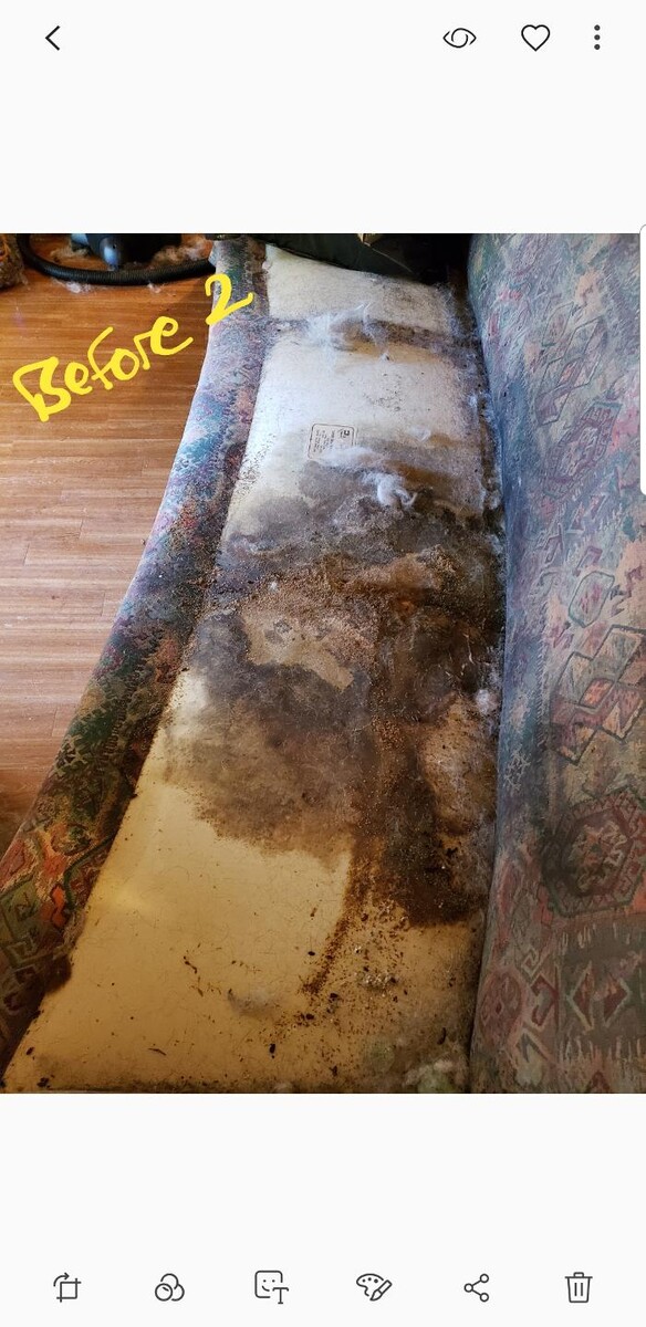 Images Puroclean of keller