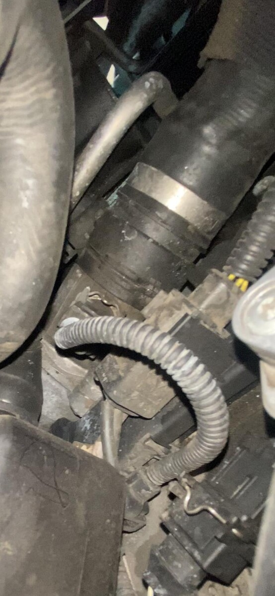 Images Pina's Auto Repair