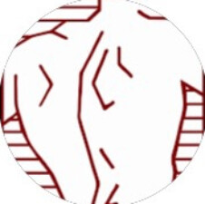 Spinal Correction Centers Dunedin Logo
