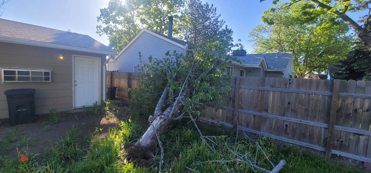Images Monster Tree Service of Greater Boulder