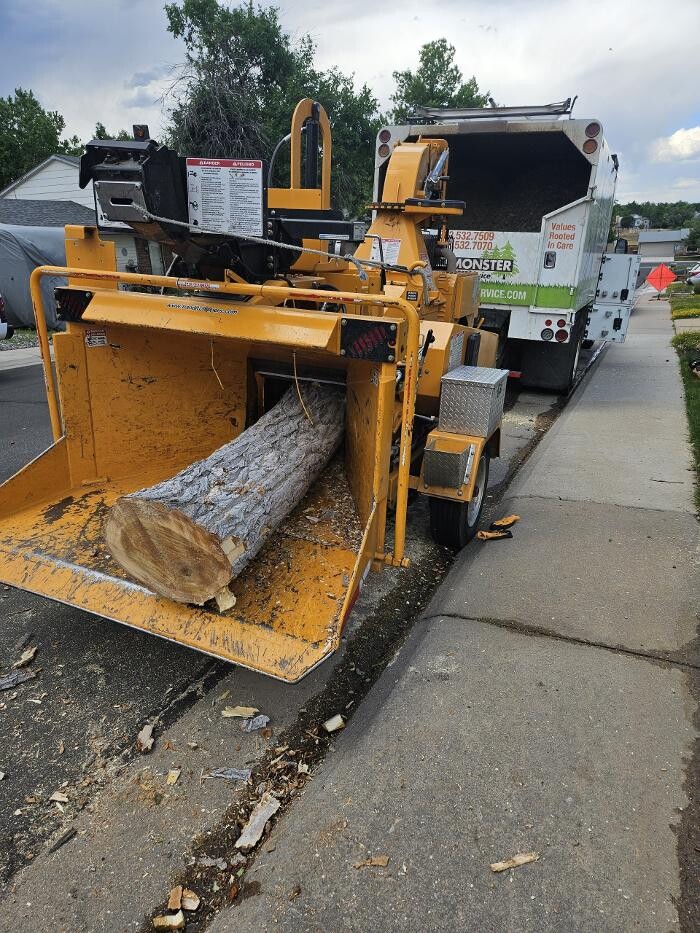 Images Monster Tree Service of Greater Boulder