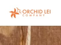 Website Screenshot Hale O Na Lei