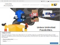 Website Screenshot Lake Erie Promotions
