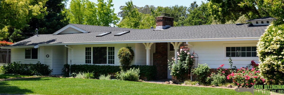 Images Mark Bellingham Painting