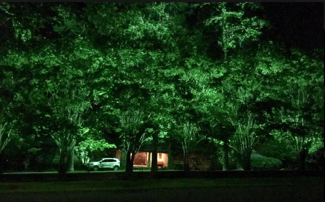 Images John Watson Landscape Illumination
