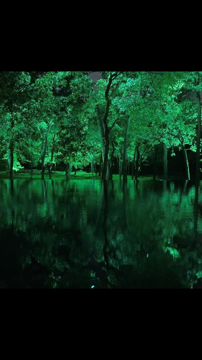Images John Watson Landscape Illumination