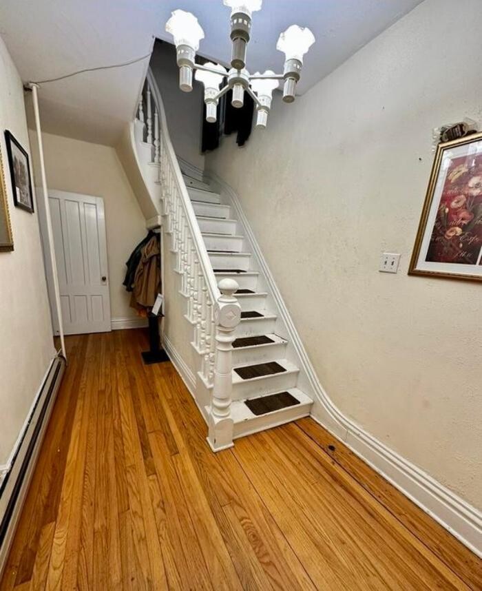 Images Red Dog Realty NY