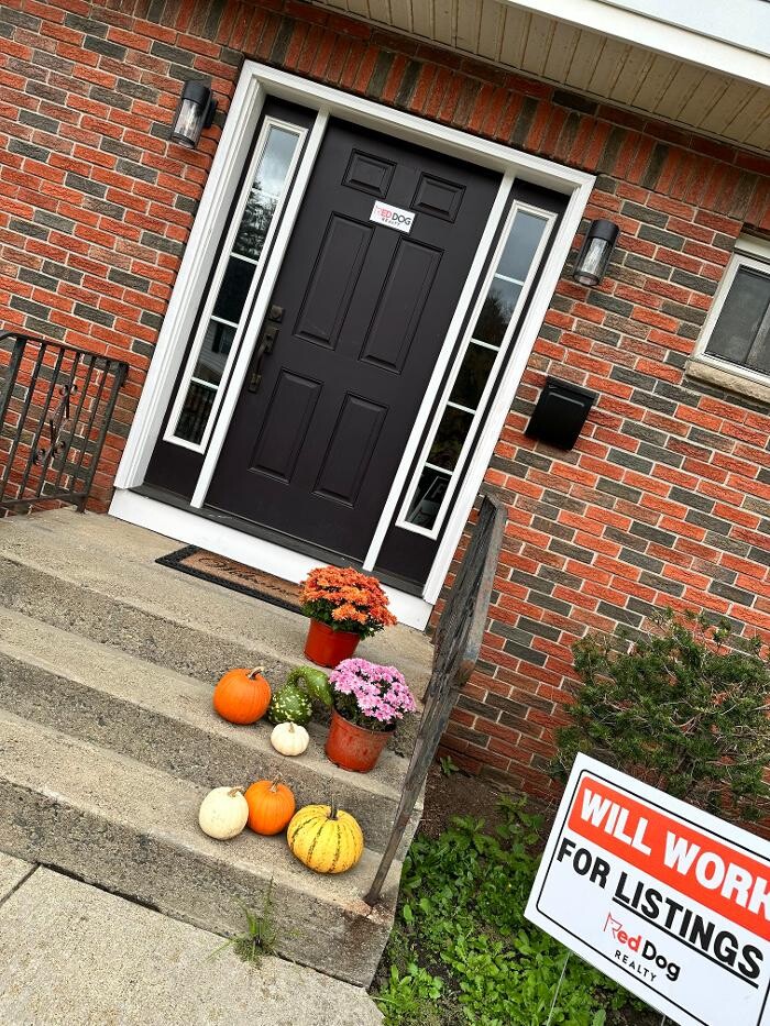 Images Red Dog Realty NY