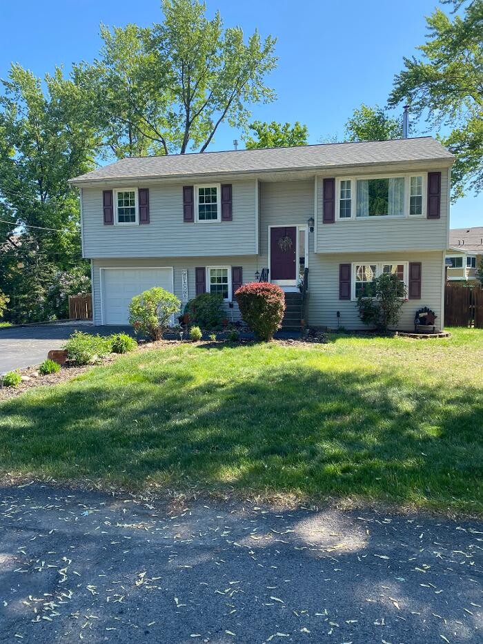 Images Red Dog Realty NY