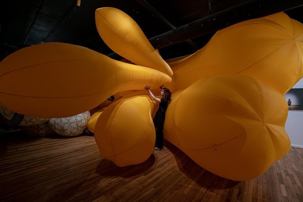 Images K Contemporary