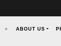 Website Screenshot The Dojang