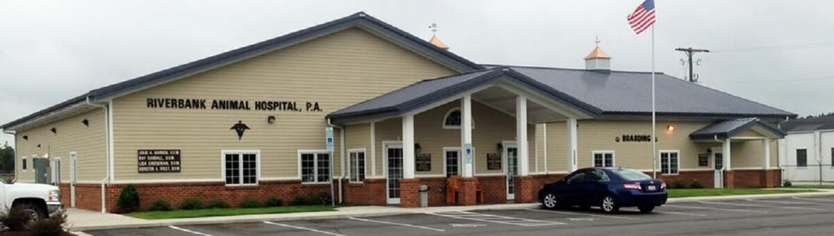 Images Riverbank Animal Hospital