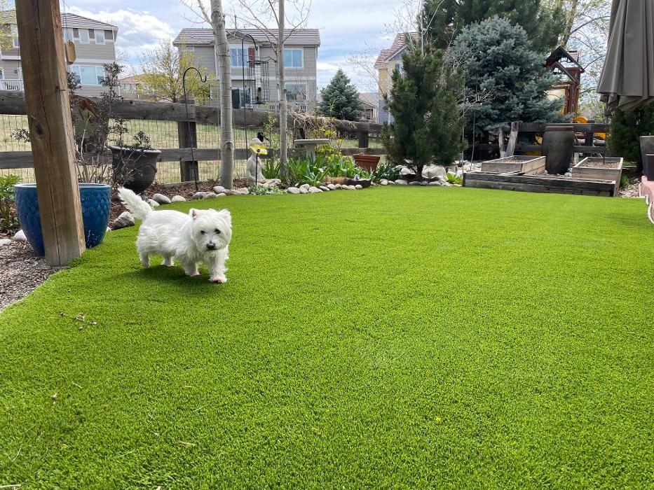 Images Go Turf