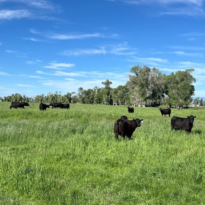 Images Dyle Stoddard Realtor