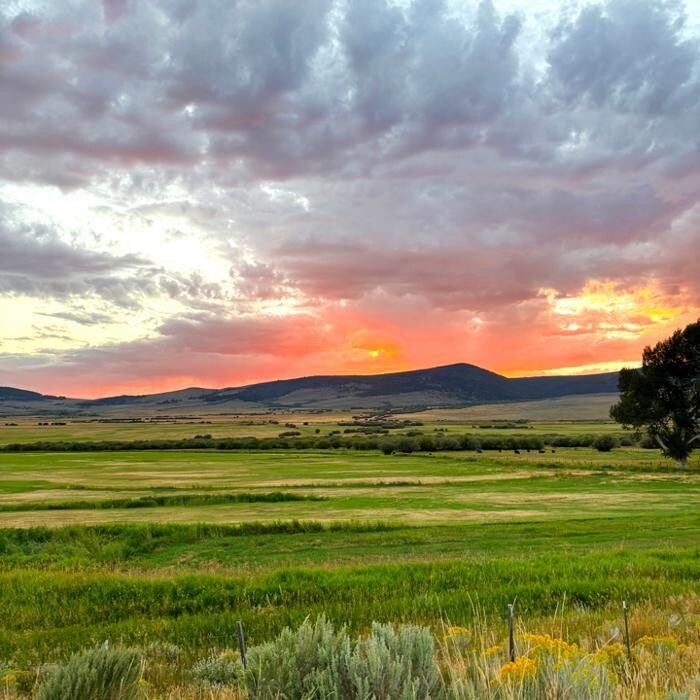 Images Dyle Stoddard Realtor