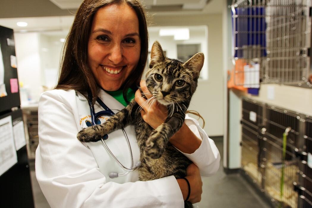 Images Pure Paws Veterinary Care of Hell's Kitchen