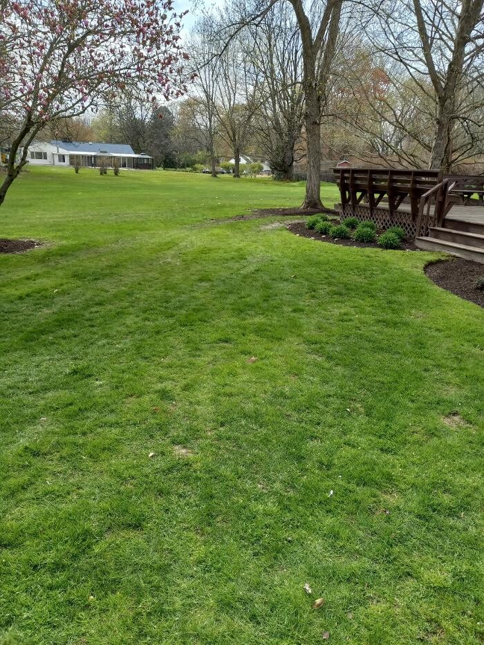 Images Black River Drain