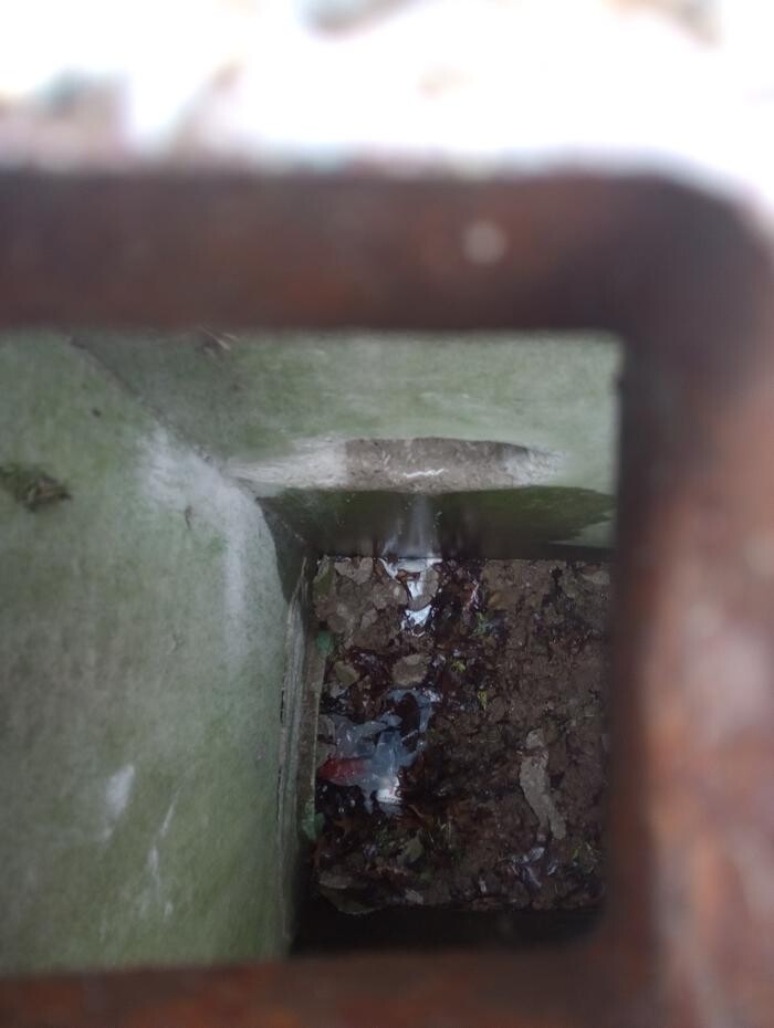 Images Black River Drain